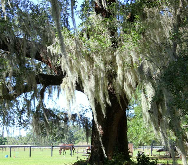 Click the Connect With Nature in Your Backyard photo to open