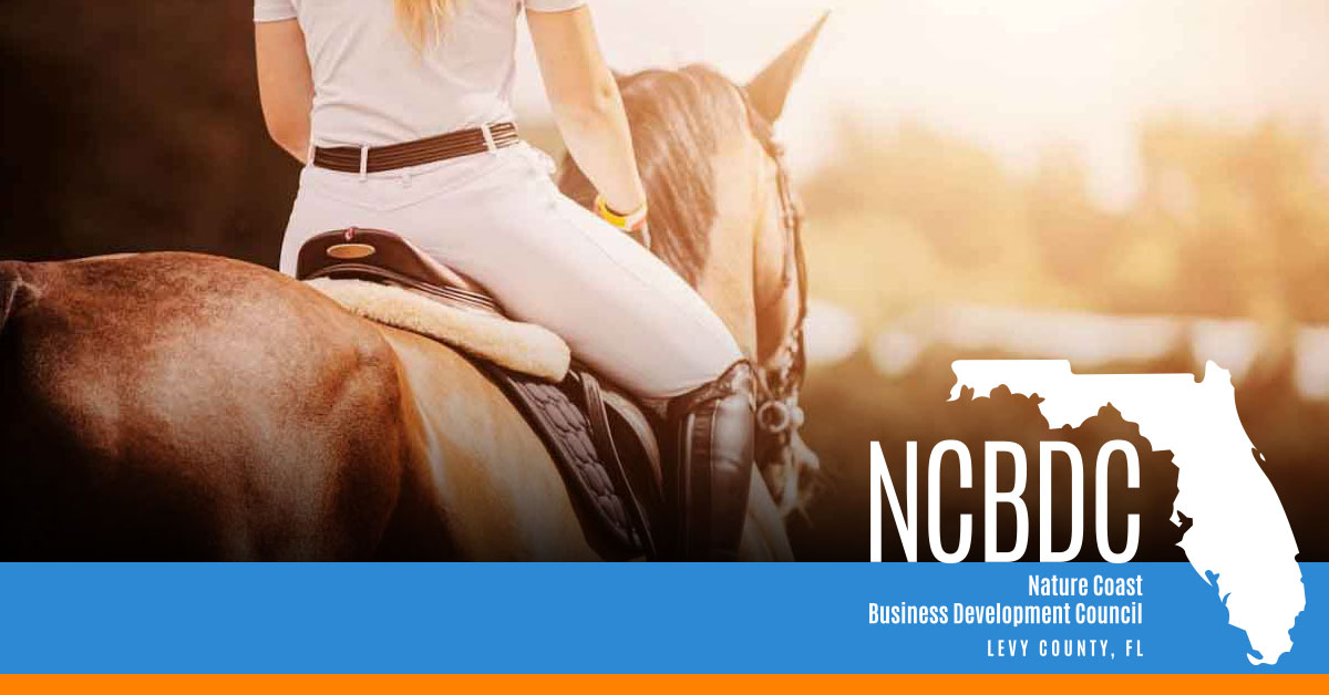 Enjoy Outdoor Adventures in Levy County, FL! Photo
