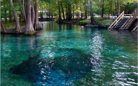 Cool Off in a Crystal Clear Spring Photo