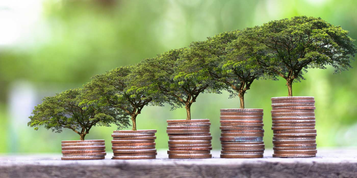 increasing height coin stacks with mini trees growing on top of each stack