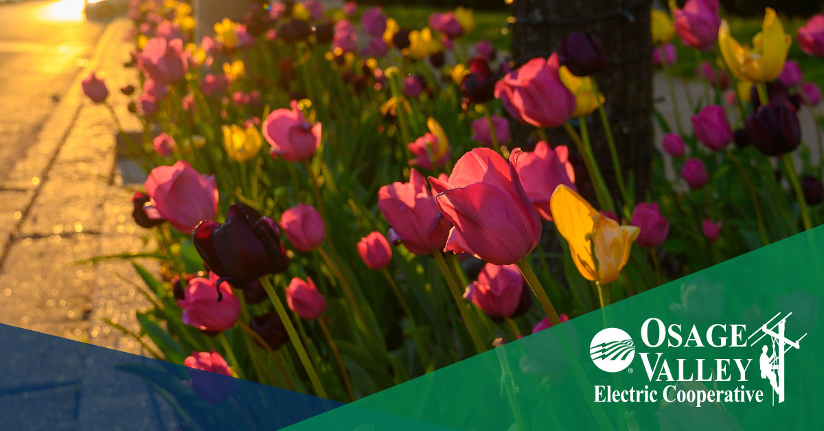 Enjoy the Quality of Life that Makes West Central Missouri Home Photo