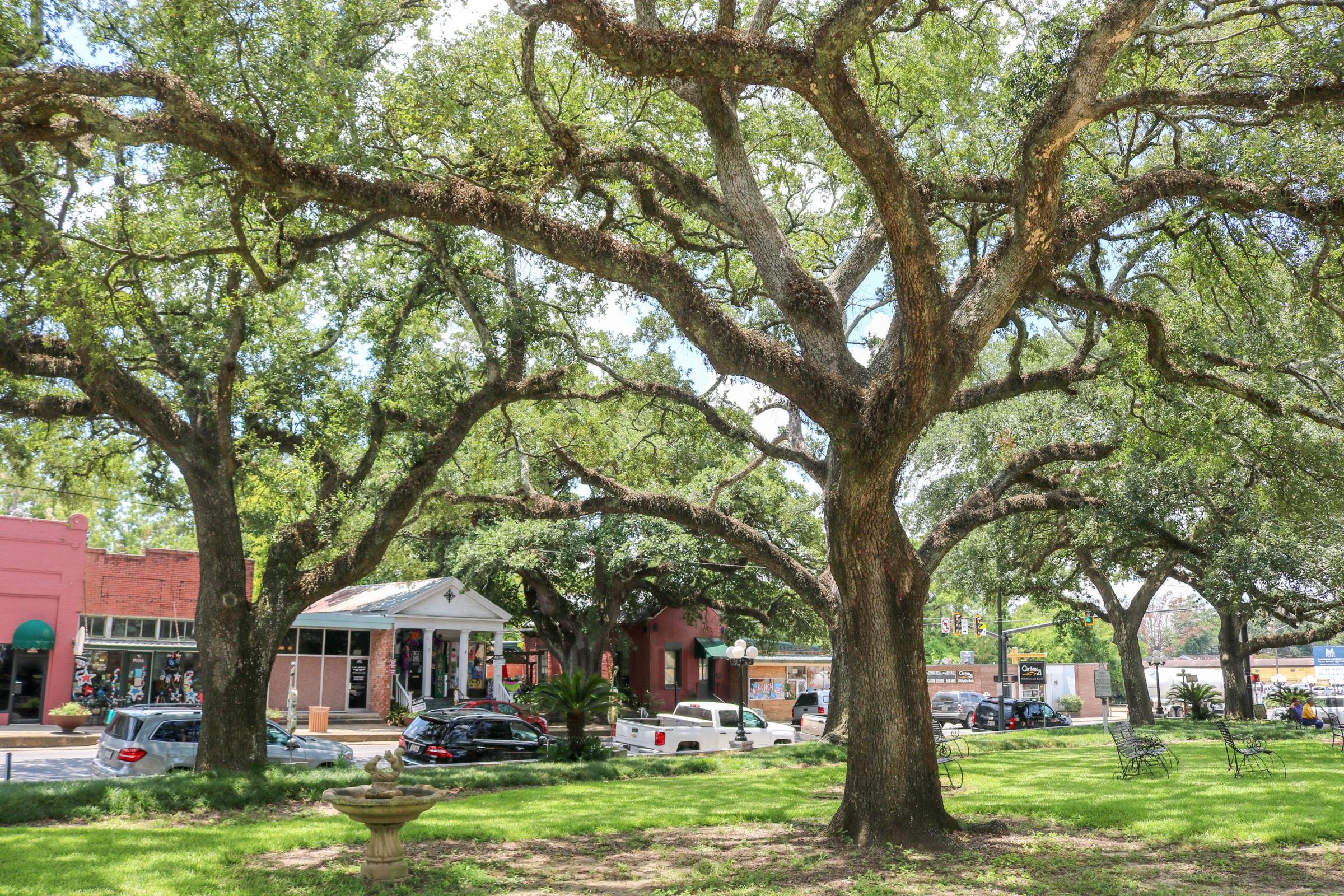 Visionary master plan project initiated for Opelousas Downtown Development District Photo