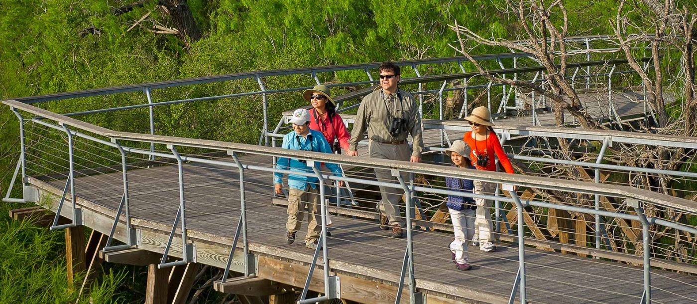 Family Bird Watching