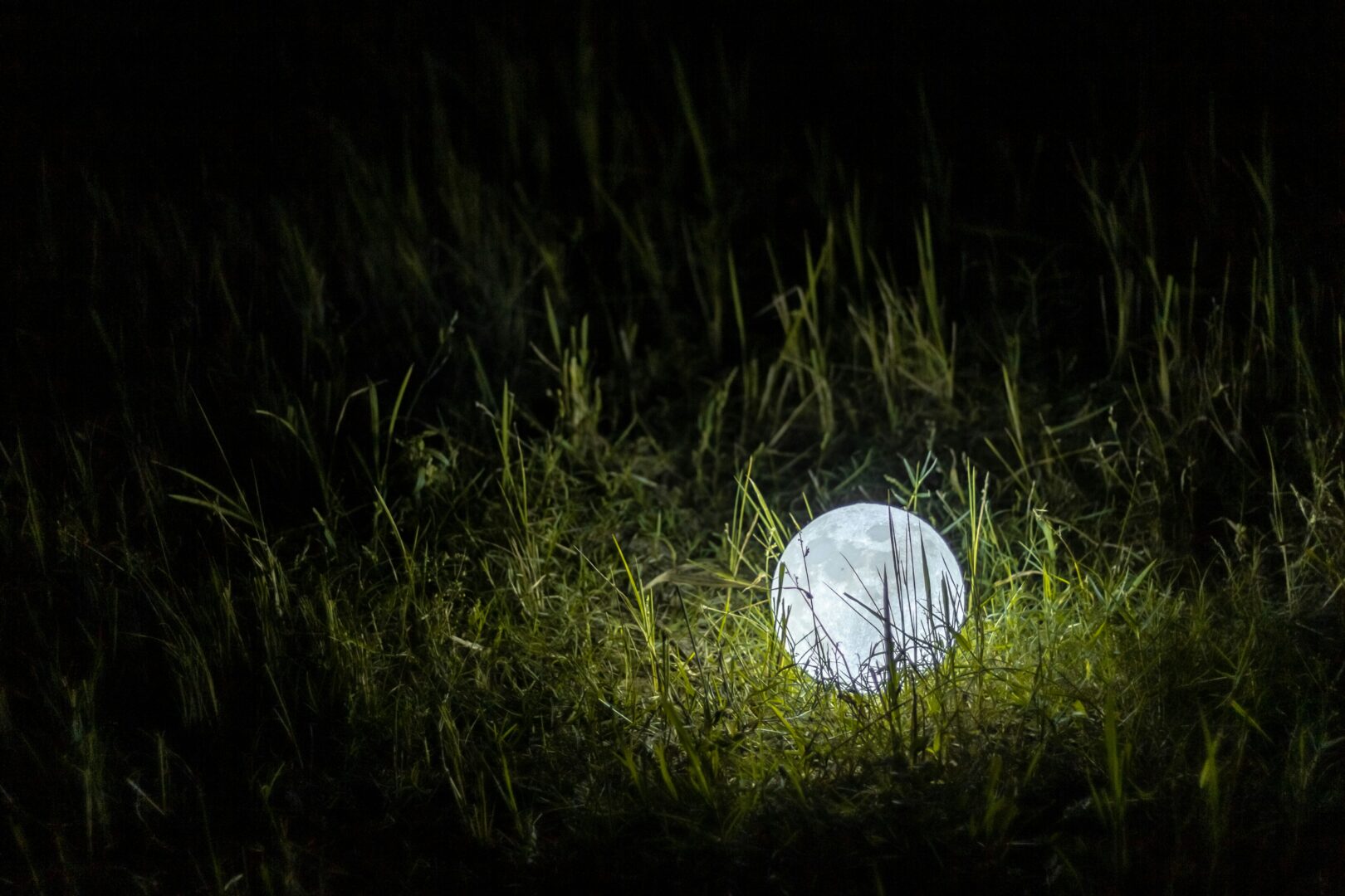 Coming soon: The Valley’s only nighttime golf course to open in Mission after $2 million investment Photo