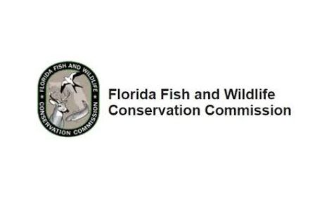 Click to view Lake Panasoffkee & Lake Panasoffkee WMA link