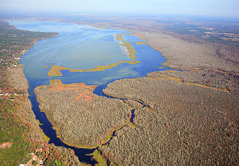 Main Logo for Lake Panasoffkee Aerial View