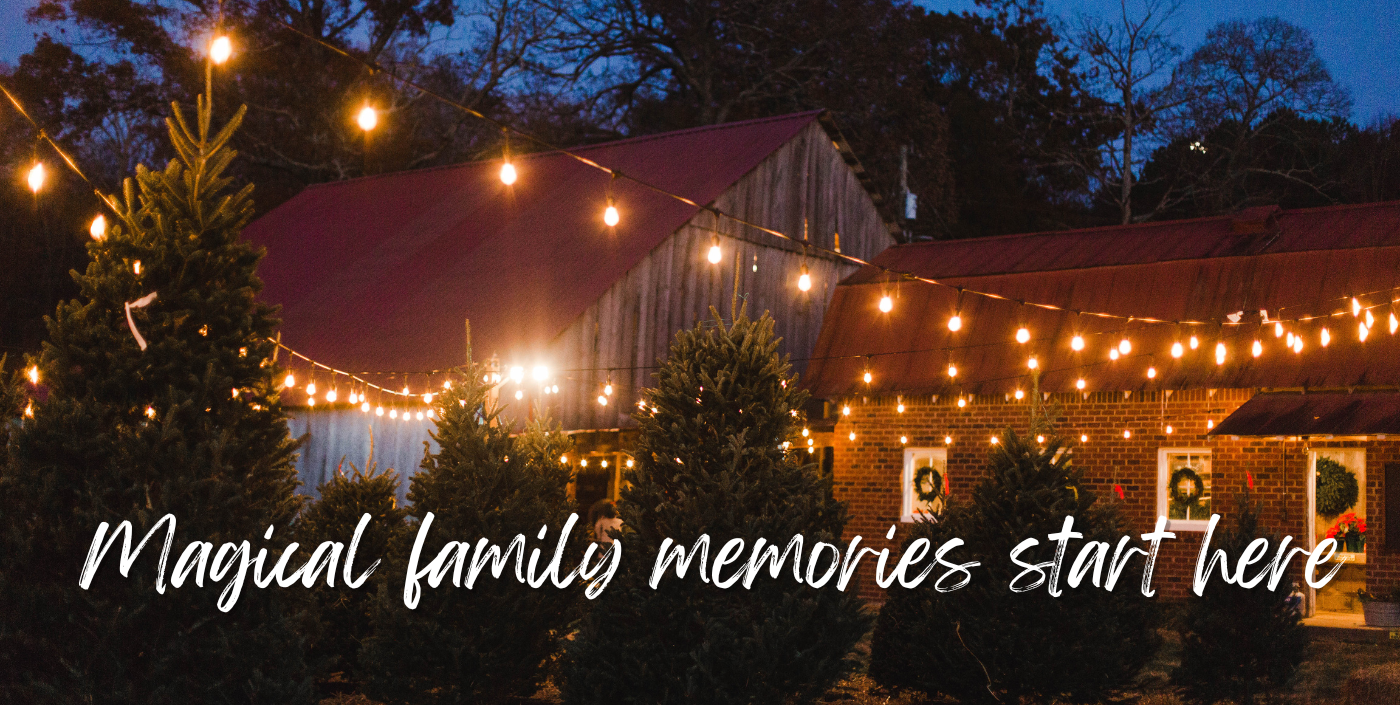 Christmas tree farm scene with lights