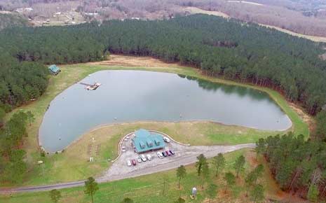 Hidden View Lake's Logo