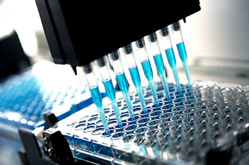 Medical + Bio-Science