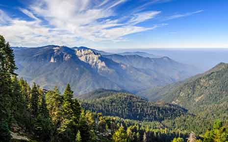 Click to view Eastern Sierra Regional Data