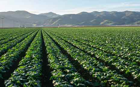 Click to view North San Joaquin Valley Regional Data