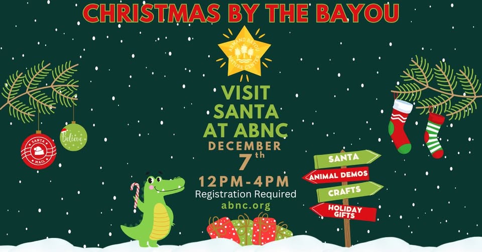 Event Promo Photo For Christmas by the Bayou