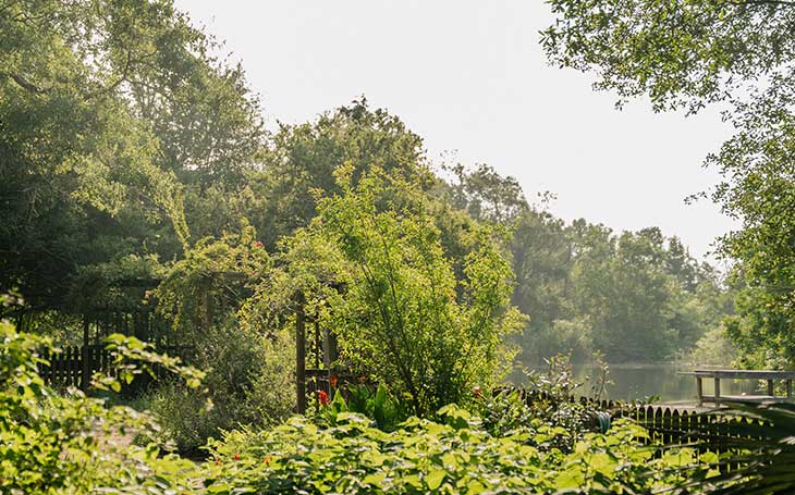 Armand Bayou Nature Center flyway