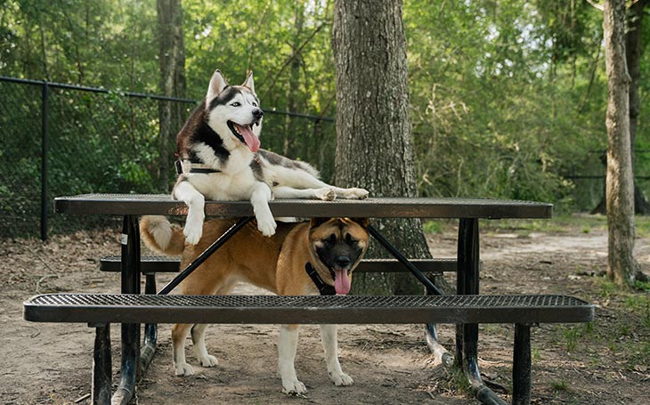 Pasadena Parks & Recreation Department Photo