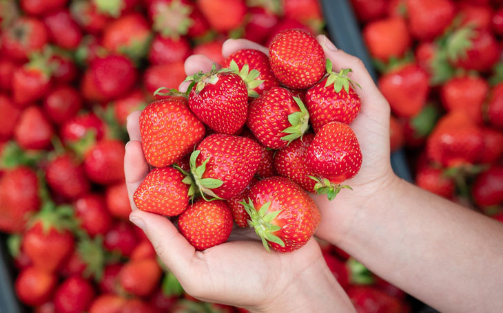 Pasadena Strawberry Festival Photo