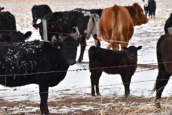 Click the Location Advantage photo to open