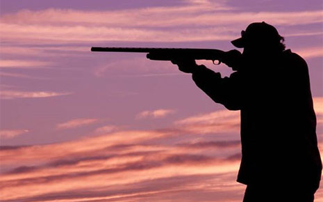 Longmeadow Game Resort, Clays Club & Event Center Photo