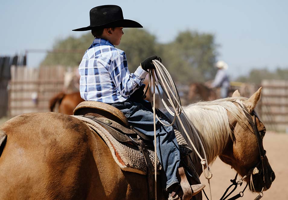 Life Fact: Killdeer Mountain