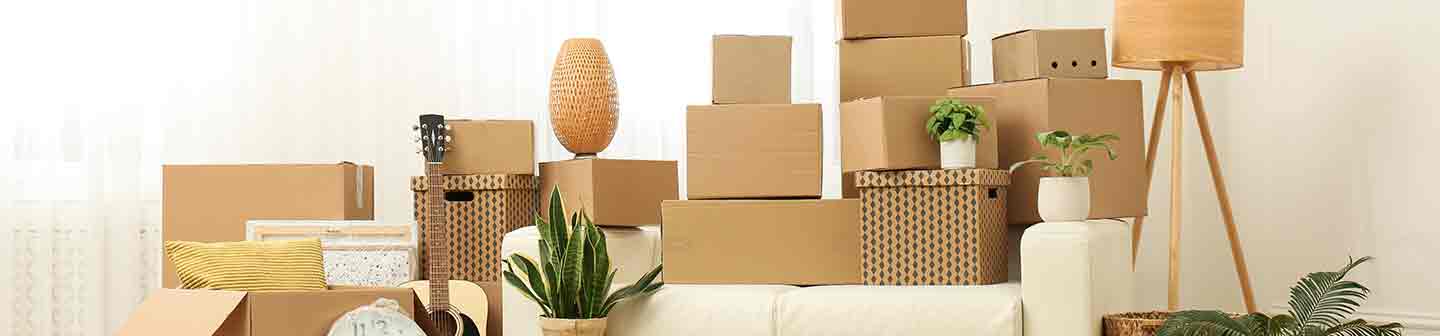 Cardboard boxes, potted plants and household stuff indoors. Moving day