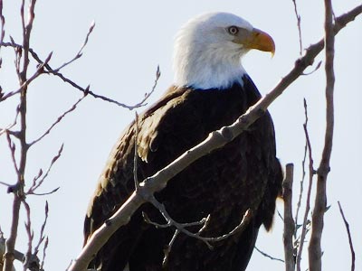 Theodore Roosevelt National Park Photo