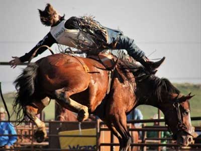 Killdeer Mountain Roundup Rodeo Photo