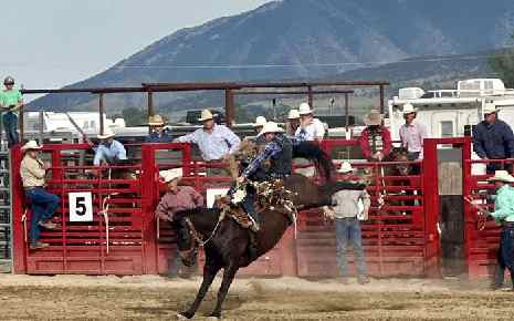 Click to view Whitehall