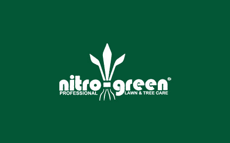 Click to view Nitro Green & Christmas Décor's photo
