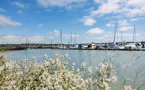 Click to view Martinez