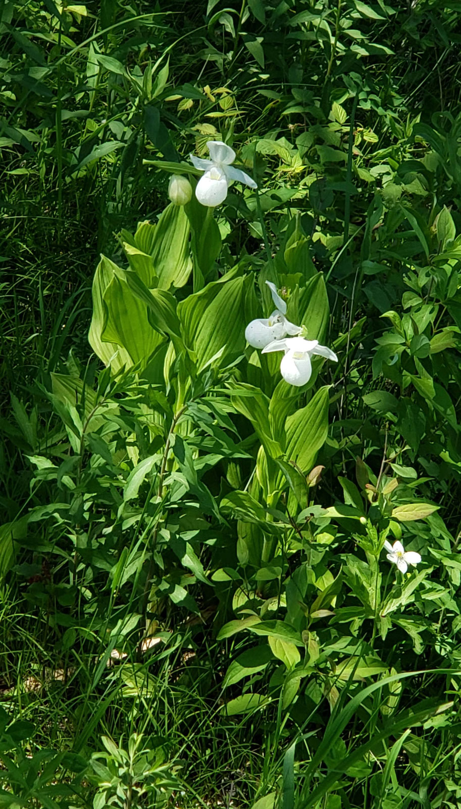 Hangar conference room