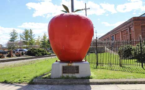 Quality Public and Private Schools Photo