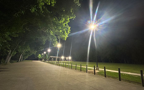 A lit park path at night with trees and streetlights.