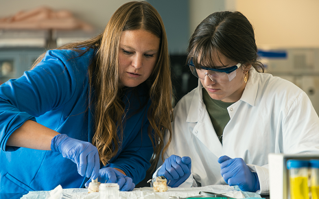 The image shows students engaged in a hands-on biology or anatomy lab session, wearing lab coats and blue protective gloves.