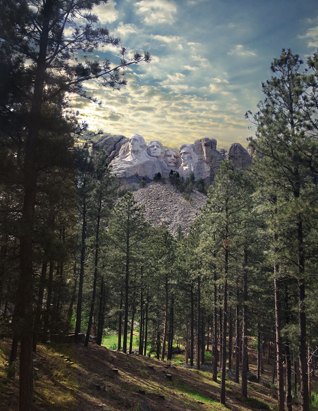 This image features the Mt. Rushmore monument from below it looking up from a forest of fir trees on a partly cloudy but bright afternoon.