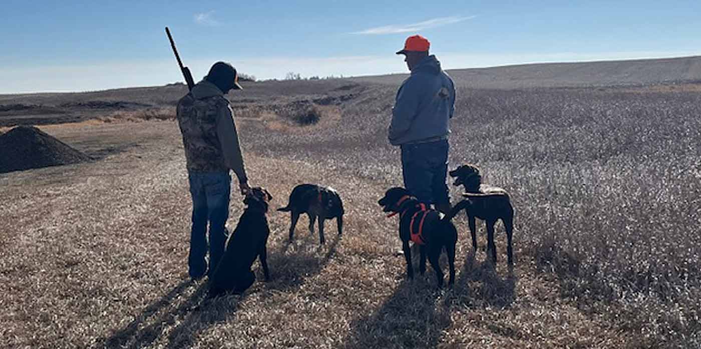 pheasant hunters with dogs