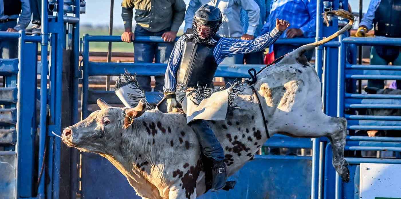 rodeo bull rider
