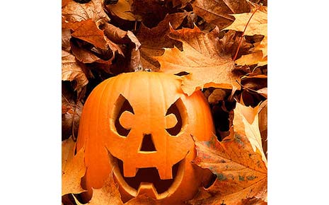 Image of a carved pumpkin sitting in fall leaves