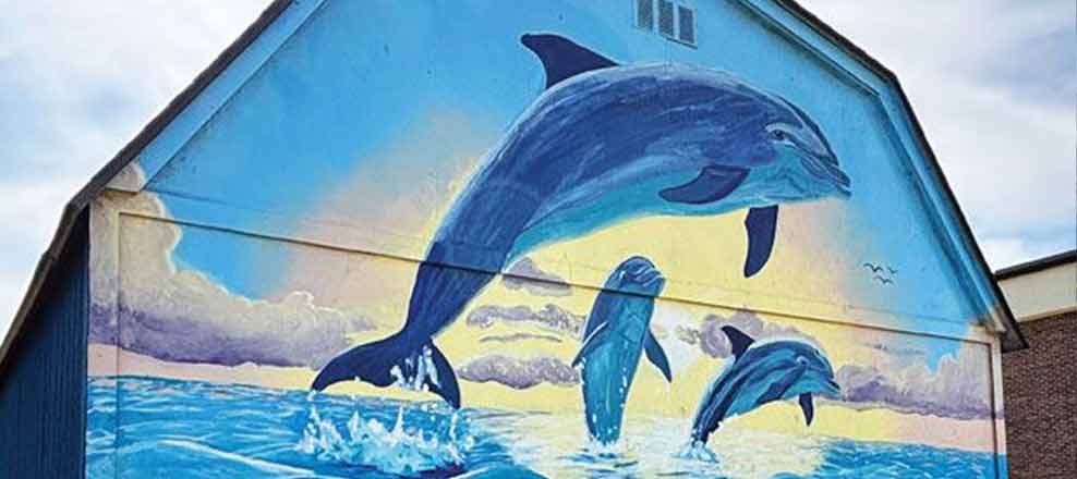 dolphin mural in yukon, ok