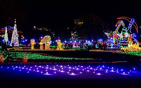 A landscape view of Yukon's Christmas in the Park at night with the Christmas lights lit up