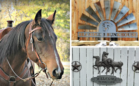 Is There Anything Fun To Do in Kansas? main photo