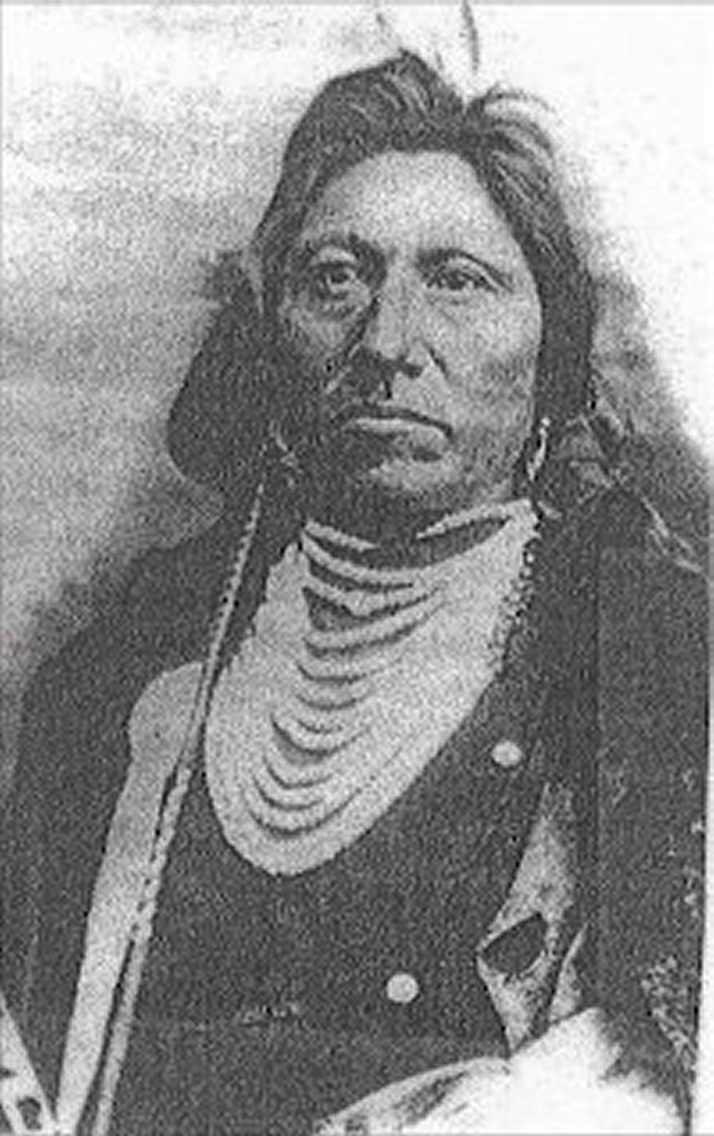 Chief Joseph Drifting Goose