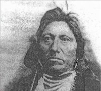 Click here to open Chief Joseph Drifting Goose