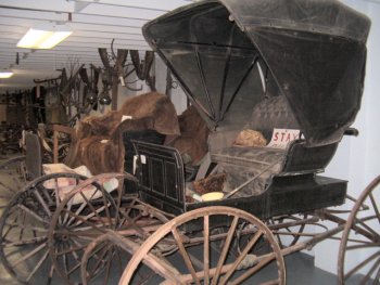 Carousel Image 1