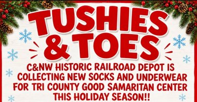 Tushies & Toes