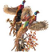 Event Promo Photo For Redfield Ringneck Association Annual Banquet