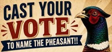 Name the Pheasant Logo