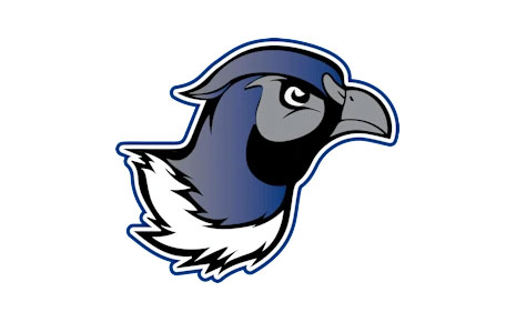 Click to view Redfield Public School link
