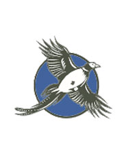 Profile Photo for Gianna Schieffer