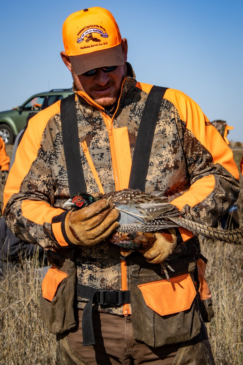 Pheasant Release