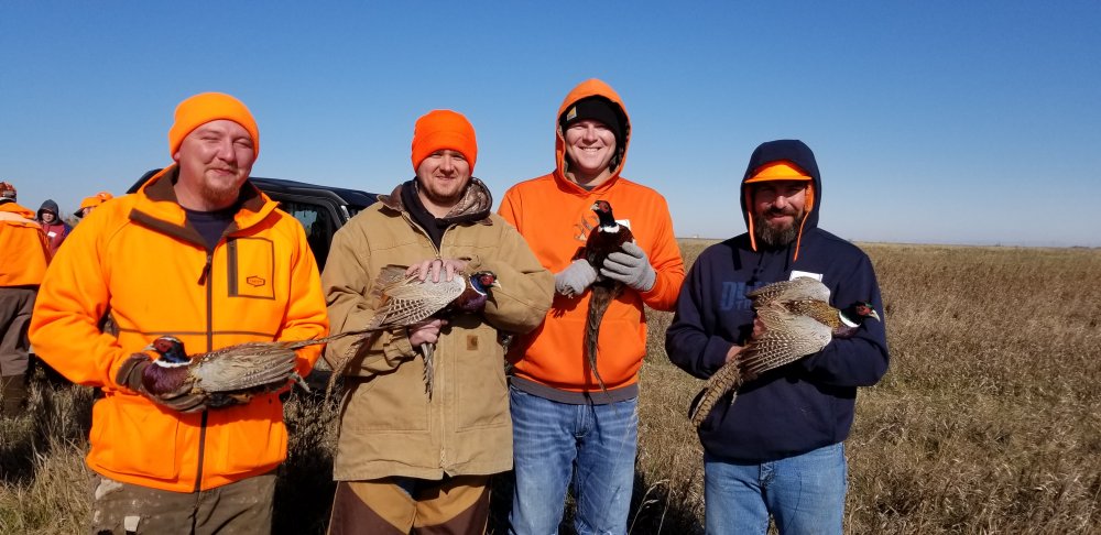 Pheasant Release