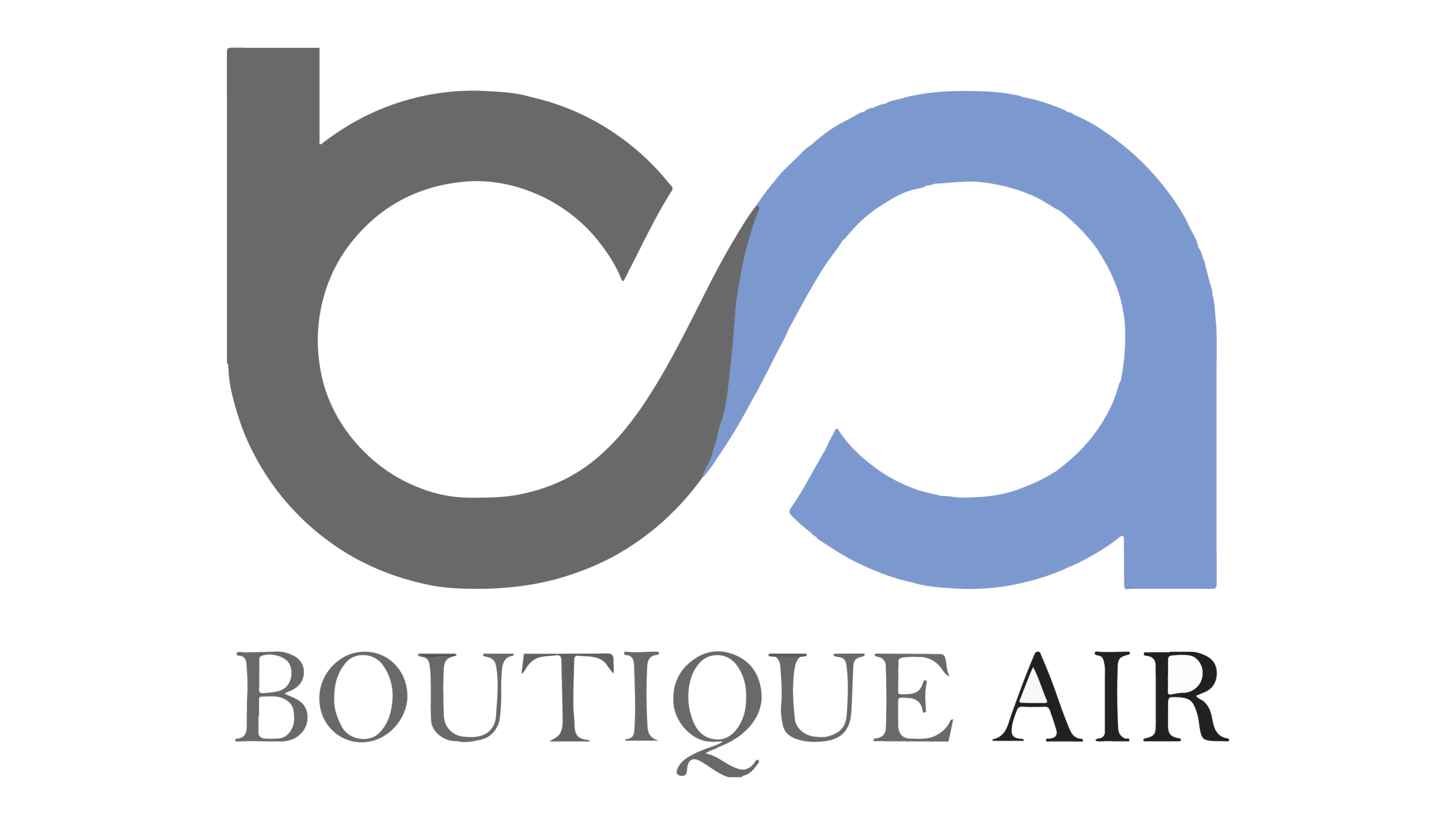 Logo for Boutique Airlines